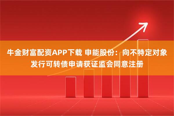 牛金财富配资APP下载 申能股份：向不特定对象发行可转债申请获证监会同意注册